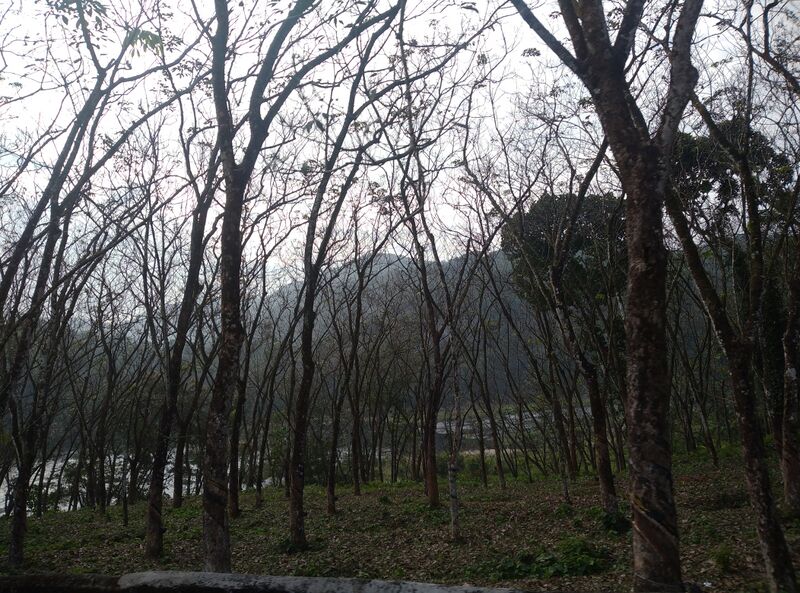 പ്രമാണം:38079 Scenary 1.jpg