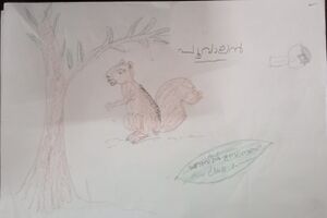 38231-PTA-KUNJ-ABIN BOBUS.jpeg