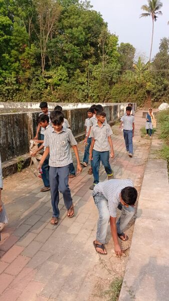 പ്രമാണം:48131-Pen collection-5.jpg