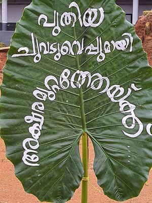 BS21 KKD 47018 101.jpeg