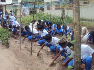 Krishimuttam 15 35052 (3).JPG