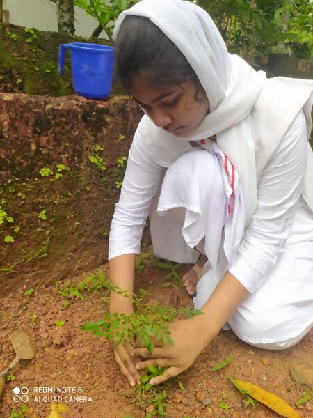 പ്രമാണം:13055 615.jpeg