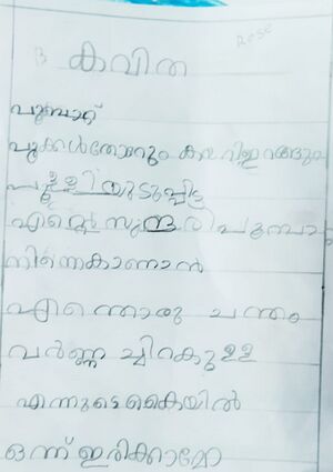 14228-KNR-KUNJ-BERNADENE ROSE.jpg