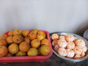 18679 snacks 24-25 (3).jpg