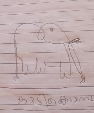 19853-MLP-KUNJ-MUHAMMED NUHMAN P.jpg