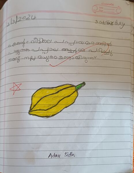 പ്രമാണം:19856-KUNJ-MLP-ADAV SIDH.resized.jpg