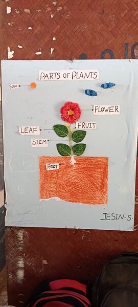 പ്രമാണം:21434-PKD-KUNJ-JASINKRISHNA.S 2-.jpg