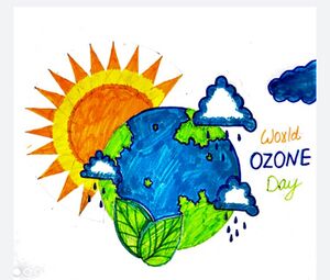 25071 ozone day3.jpg