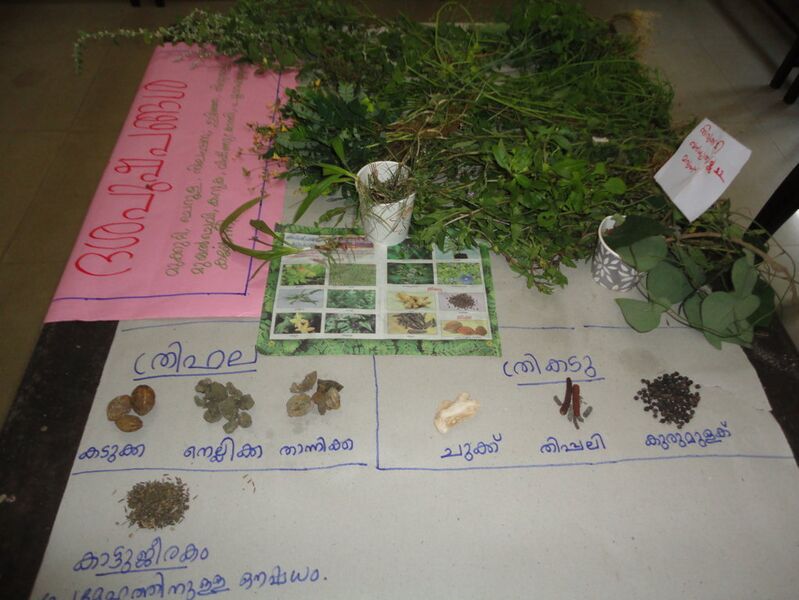 പ്രമാണം:25402 1 (1) 05.jpg