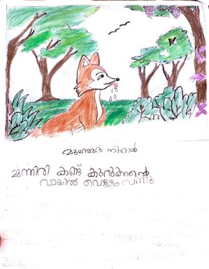 35341-ALP-KUNJ-MUAMMED NIHAL.jpg