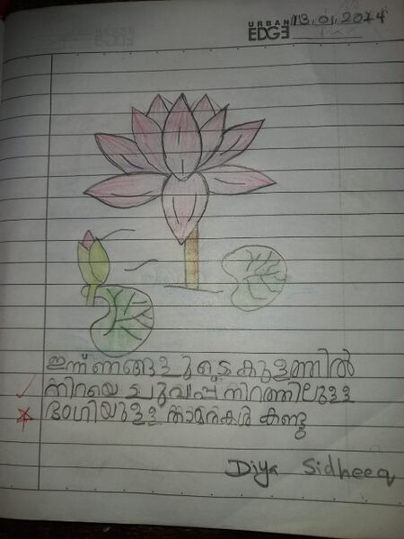 പ്രമാണം:40230-KLM-KUNJ-DIYA SIDHEEQ.jpeg