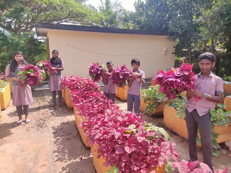 പ്രമാണം:44050 24 2 7 14.jpg