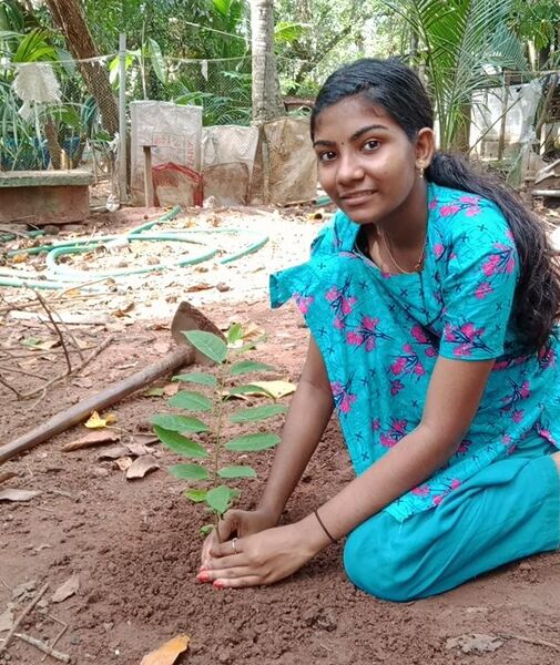 പ്രമാണം:44050 eco 66.jpeg