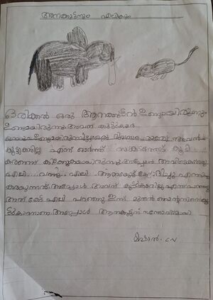 9522-MLP-KUNJ-mishal.jpg