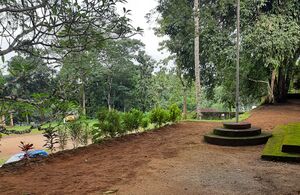 BS21 PTA 38061 6.jpg