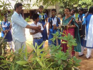 Environmentday 15 35052 (3).jpg