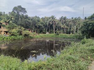 Mklkl 42512 Entegramam kulam 2.jpg