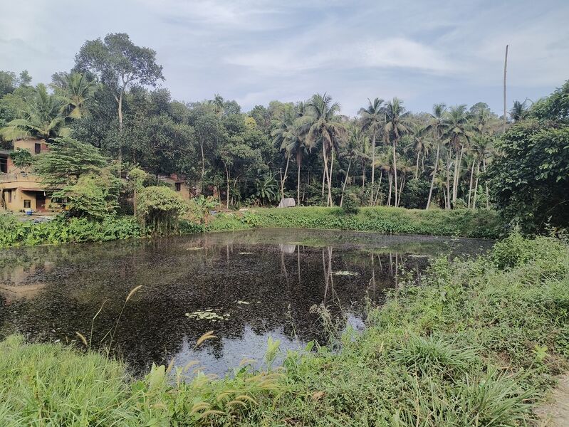 പ്രമാണം:Mklkl 42512 Entegramam kulam 2.jpg