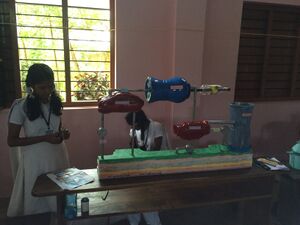 Sc 15 35052a (1).JPG