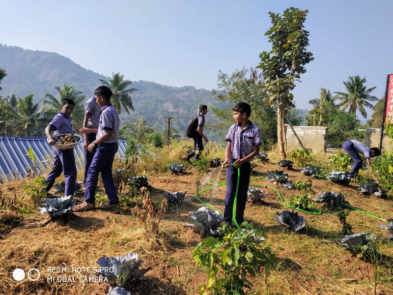 പ്രമാണം:Veget6 30014.jpg