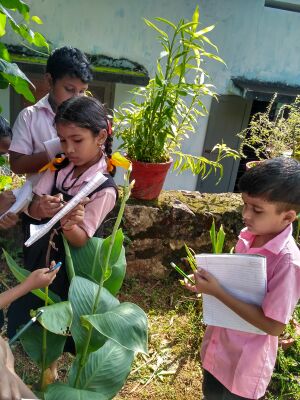 WhatsApp Image 2022-01-27 at 11.03.24 AM.jpg