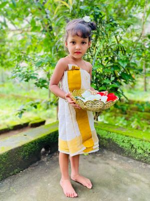 12335-onam14.jpg