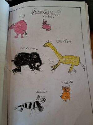 18230-MLP-KUNJA-MUHAMMED FALAH.jpg