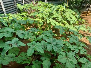 22076 eco agri 1.jpeg