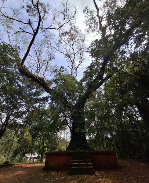 പ്രമാണം:24004 kshetravisudhi.jpg