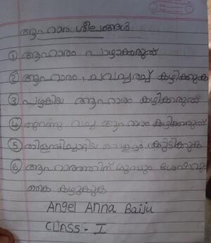 38088-PTA-KUNJ-ANGEL ANNA BAIJU.jpeg