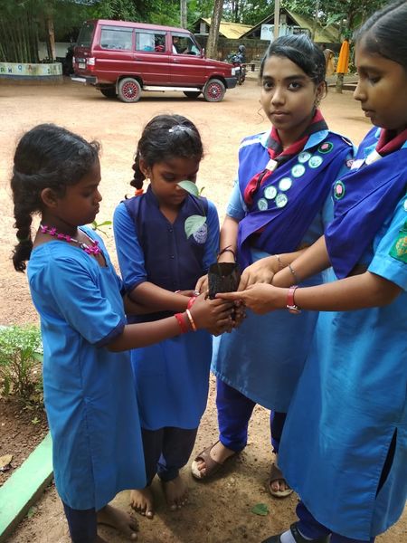 പ്രമാണം:42021 0456.jpg