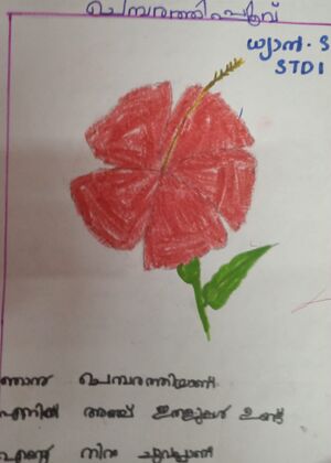 43415-TVM-DHYAN S.jpeg.jpeg