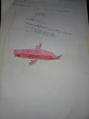 44237 tvm-kunj11.jpg