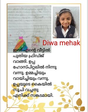 47466 DIWA MEHAK.jpeg