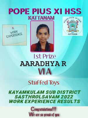 Aaradhya 36002.jpg