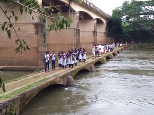 MANIMALABridge 32440.jpeg