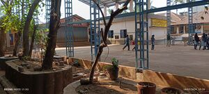 11028 Entegramam.jpg