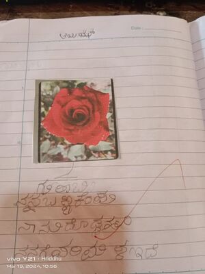 11249-KGD-KUNJ-MOIDEEN AYIZ.jpeg