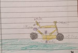 13662-KNR-KUNJ-SAI LAKSHMI.jpg