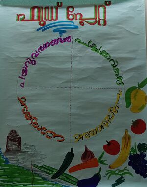 16041 Balanced diet1 2025 Aug.jpg