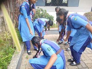 21060 lk june5 samrakshanam4.jpg