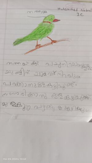 34331-ALP-KUNJ-MUHAMMED NABEEL 1 (1).jpg