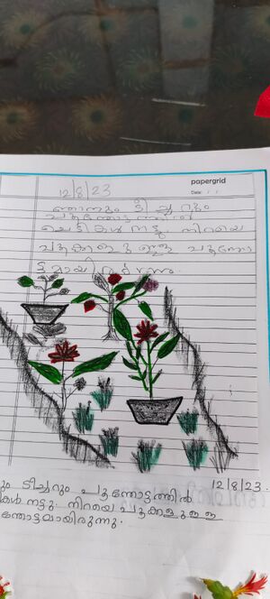 41601-KLM-KUNJ- Alvin.jpeg