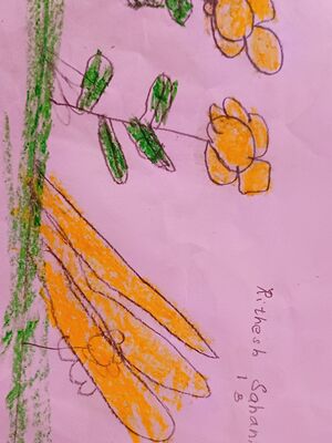 45307-Rithesh Sahani.jpg