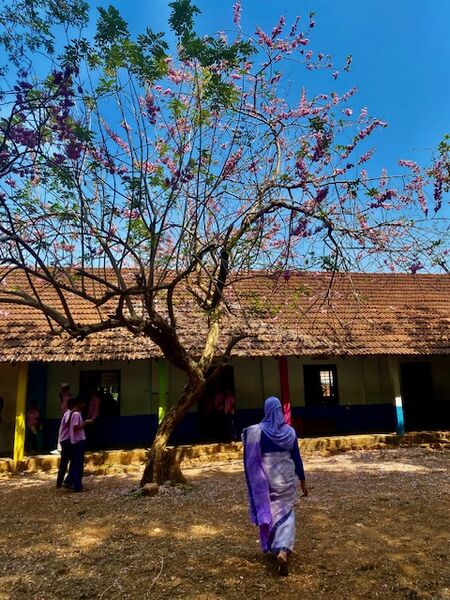 പ്രമാണം:48001 4.jpg