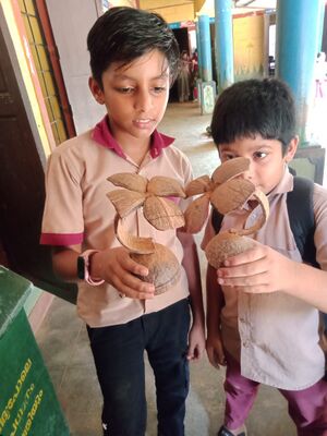 48450 MLP WA0045.jpg