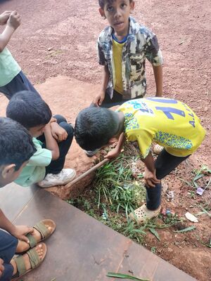 BS21 MLP 19318 2.jpg.jpeg