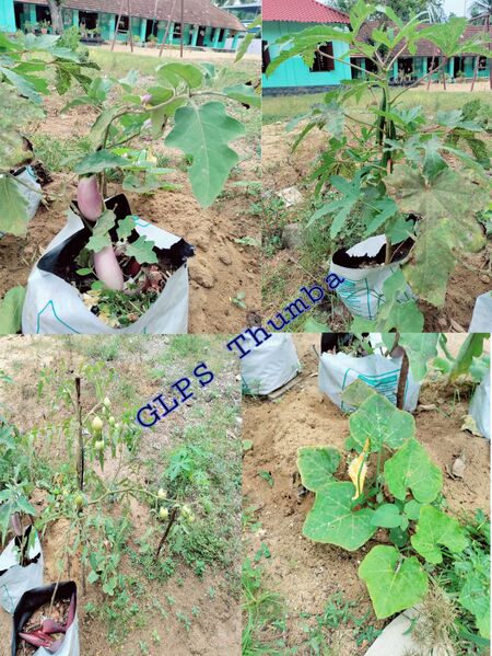 പ്രമാണം:BS26 TVM 43430 2.jpeg