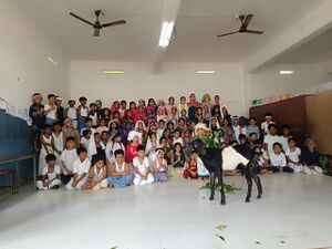 Basheer25 mlp 19403.jpg