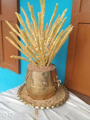 WhatsApp Image 2021-11-05 at 9.16.21 PM(2).jpg